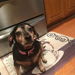 Meet your Posher, Justin